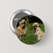 Badge Rond 5 Cm Retreivers d'or dans l'herbe (Devant & derrière)