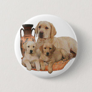 Badge Rond 5 Cm Retriever du Labrador