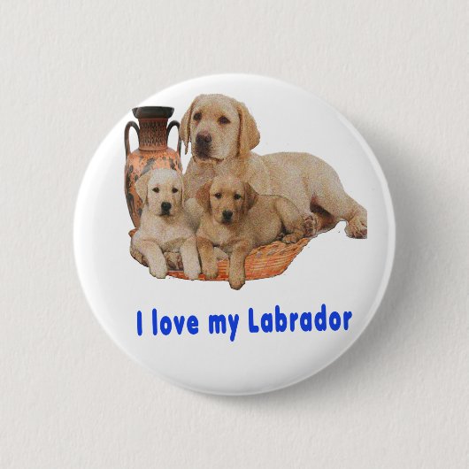 Badge Rond 5 Cm Retriever du Labrador (Devant)