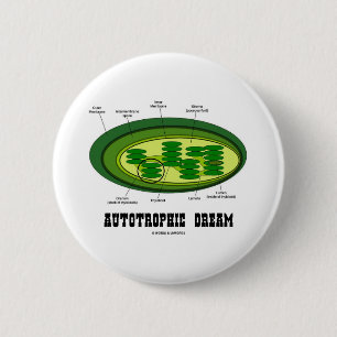 Badge Rond 5 Cm Rêve autotrophe (matière à réflexion d'humour 