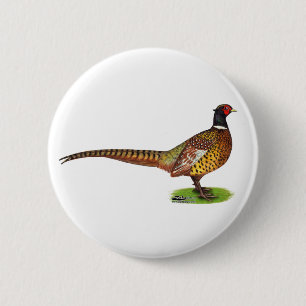 Badge Rond 5 Cm Ringneck Pheasant Rooster