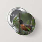 Badge Rond 5 Cm Robin (Devant & derrière)