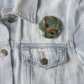 Badge Rond 5 Cm Robin (En situation)