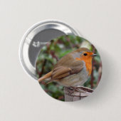 Badge Rond 5 Cm Robin (Devant & derrière)