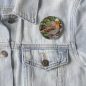 Badge Rond 5 Cm Robin (En situation)