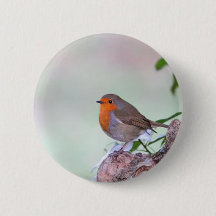 Badge Rond 5 Cm Robin