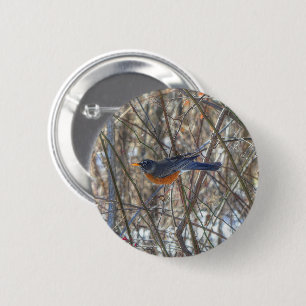 Badge Rond 5 Cm Robin américain