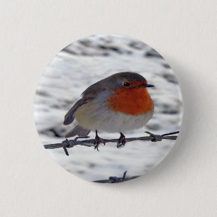 Badge Rond 5 Cm Robin Redbreast
