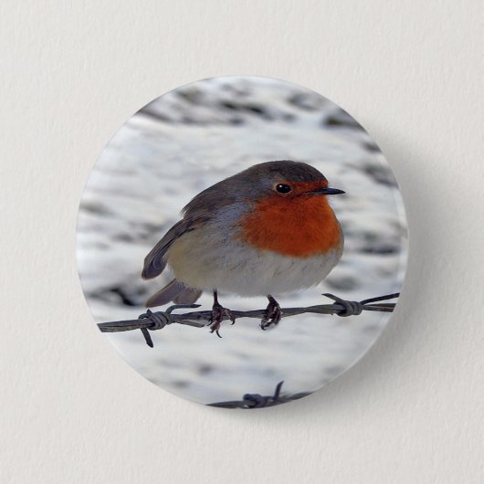 Badge Rond 5 Cm Robin Redmamin (Devant)