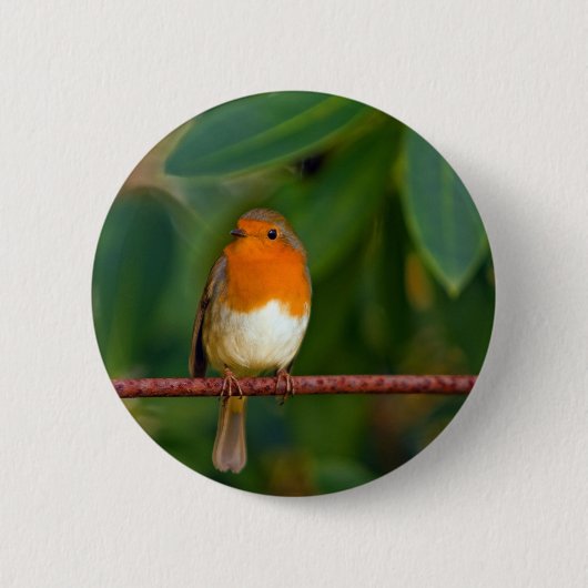 Badge Rond 5 Cm ROBIN Rouge (Devant)
