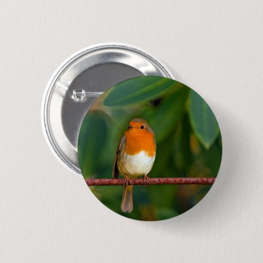 Badge Rond 5 Cm ROBIN Rouge (Devant & derrière)