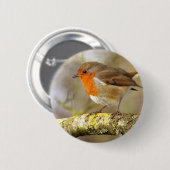 Badge Rond 5 Cm Robin sur la branche (Devant & derrière)