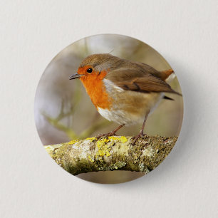 Badge Rond 5 Cm Robin sur la branche