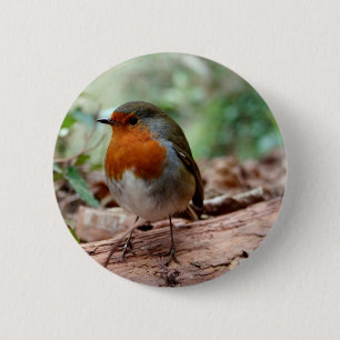 Badge Rond 5 Cm Robin sur un membre