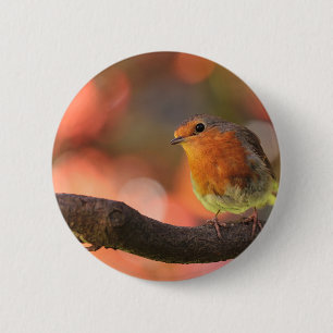 Badge Rond 5 Cm Robin sur une branche