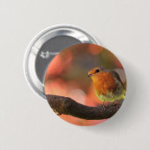 Badge Rond 5 Cm Robin sur une branche (Devant & derrière)