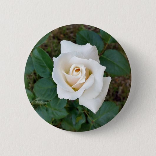 Badge Rond 5 Cm rose blanche (Devant)
