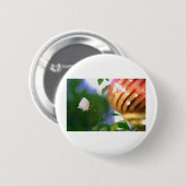 Badge Rond 5 Cm Rose de Noël blanc (Devant & derrière)