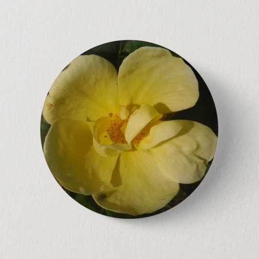 Badge Rond 5 Cm Rose jaune sauvage (Devant)
