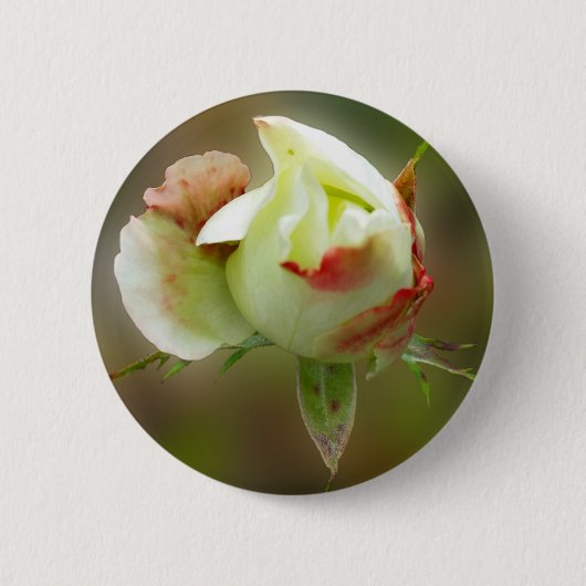 Badge Rond 5 Cm rosebud brillant (Devant)