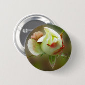 Badge Rond 5 Cm rosebud brillant (Devant & derrière)