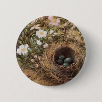 Roses de nids d'oiseaux et de chiens par John Will
