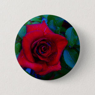 Badge Rond 5 Cm Roses rouges aux tons bleus
