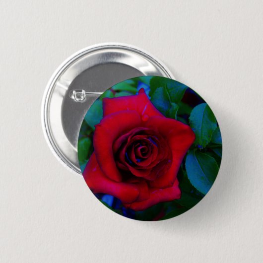 Badge Rond 5 Cm Roses rouges aux tons bleus (Devant & derrière)
