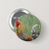 Badge Rond 5 Cm Rosters (Devant & derrière)