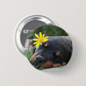 Badge Rond 5 Cm Rottweiler (Devant & derrière)