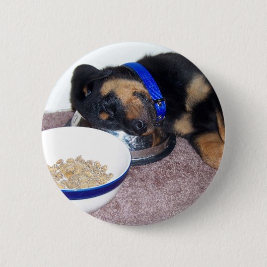 Badge Rond 5 Cm rottweiler à tête blanche. (Devant)