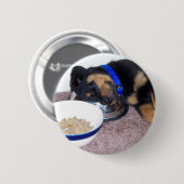Badge Rond 5 Cm rottweiler à tête blanche. (Devant & derrière)