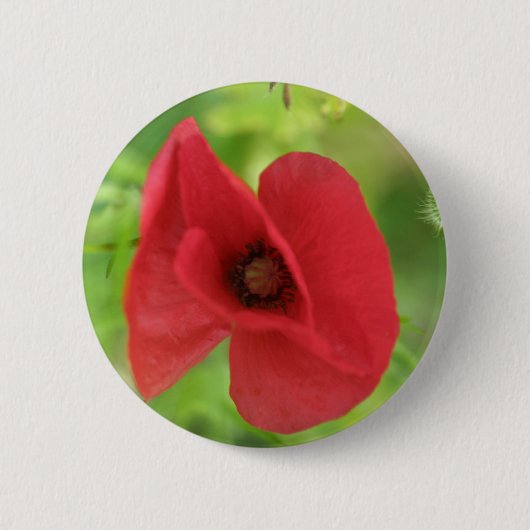Badge Rond 5 Cm Rouge de pavot (Devant)