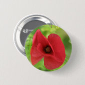 Badge Rond 5 Cm Rouge de pavot (Devant & derrière)