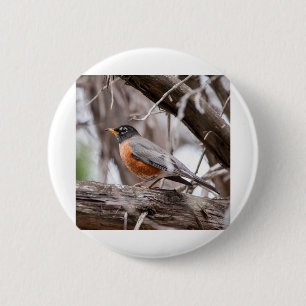Badge Rond 5 Cm Rouge-gorge dans les arbres
