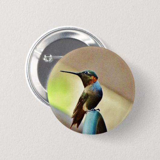 Badge Rond 5 Cm Ruby perché et petit colibri vert (Devant & derrière)