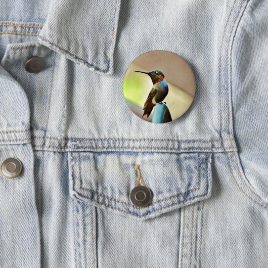Badge Rond 5 Cm Ruby perché et petit colibri vert (En situation)