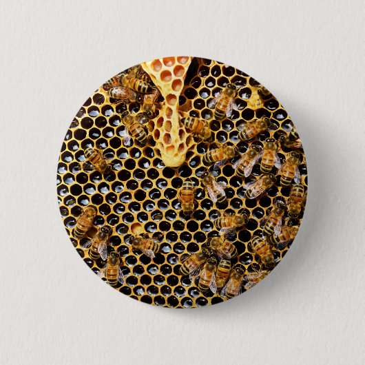Badge Rond 5 Cm Ruche d'abeilles avec peigne d'abeille (Devant)