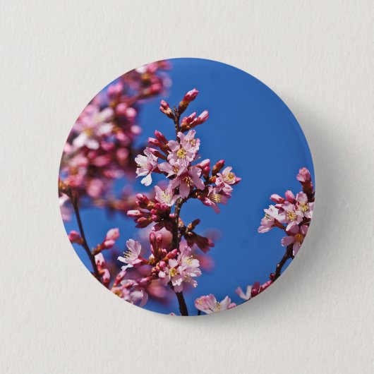 Badge Rond 5 Cm Sakura Cerry Blossoms Touché Bleu (Devant)