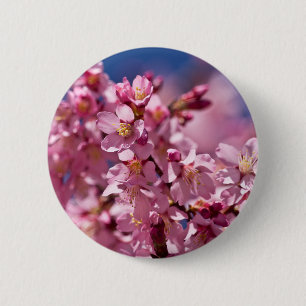 Badge Rond 5 Cm Sakura Cherry Blossoms embrassés par Sunlight