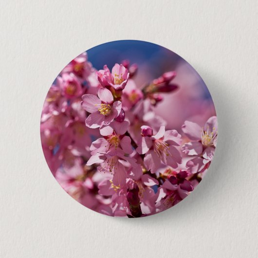 Badge Rond 5 Cm Sakura Cherry Blossoms embrassés par Sunlight (Devant)