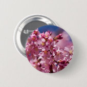 Badge Rond 5 Cm Sakura Cherry Blossoms embrassés par Sunlight (Devant & derrière)