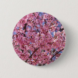 Badge Rond 5 Cm Sakura Pink Cherry Blossom Sky