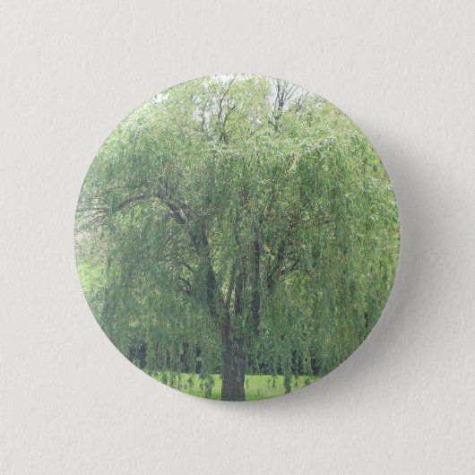 Badge Rond 5 Cm Saule pleurant (Devant)