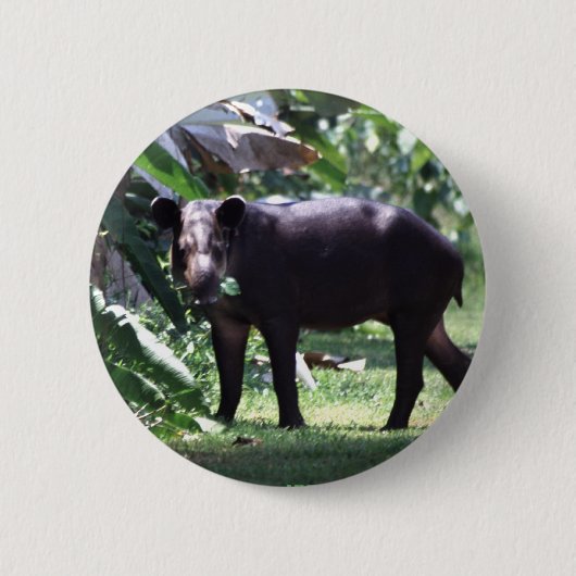 Badge Rond 5 Cm sauvez le tapir (Devant)