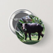 Badge Rond 5 Cm sauvez le tapir (Devant & derrière)