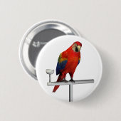 Badge Rond 5 Cm Scarlet Macaw (Devant & derrière)