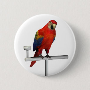Badge Rond 5 Cm Scarlet Macaw
