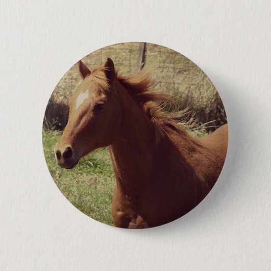Badge Rond 5 Cm Scotch in Motion (Devant)