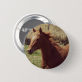 Badge Rond 5 Cm Scotch in Motion (Devant & derrière)